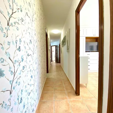Apartmán Oasis In *